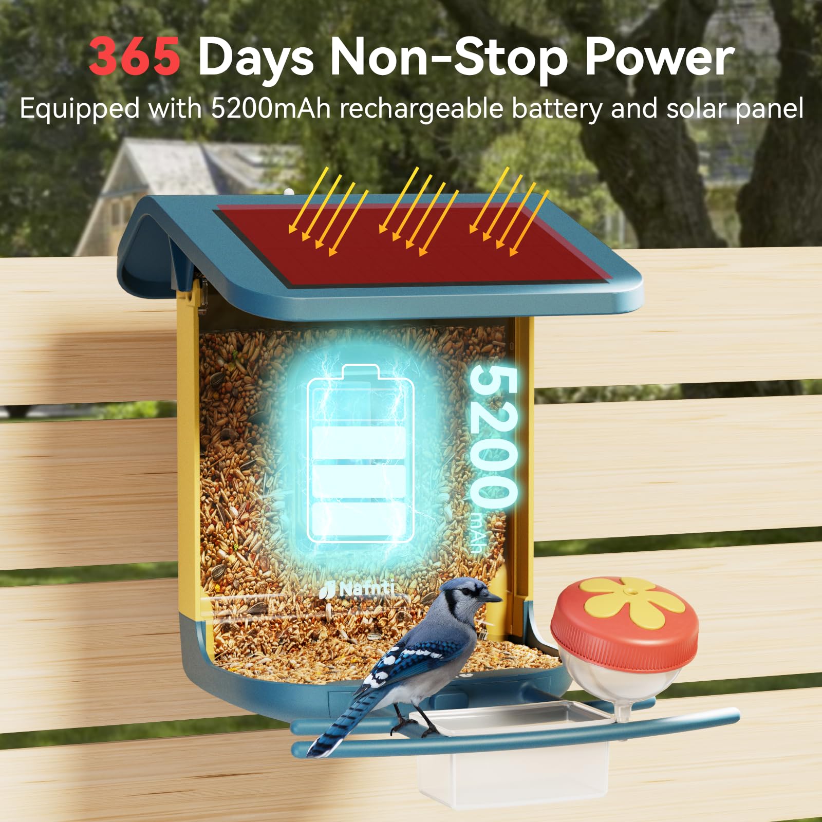 Nafnti Bird Feeder Camera all-weather IP65 design withstands rain and cold