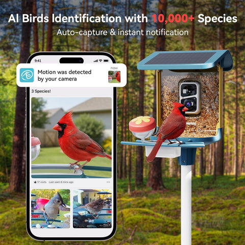 Nafnti Bird Feeder Camera with solar panel setup ensures continuous power outdoors
