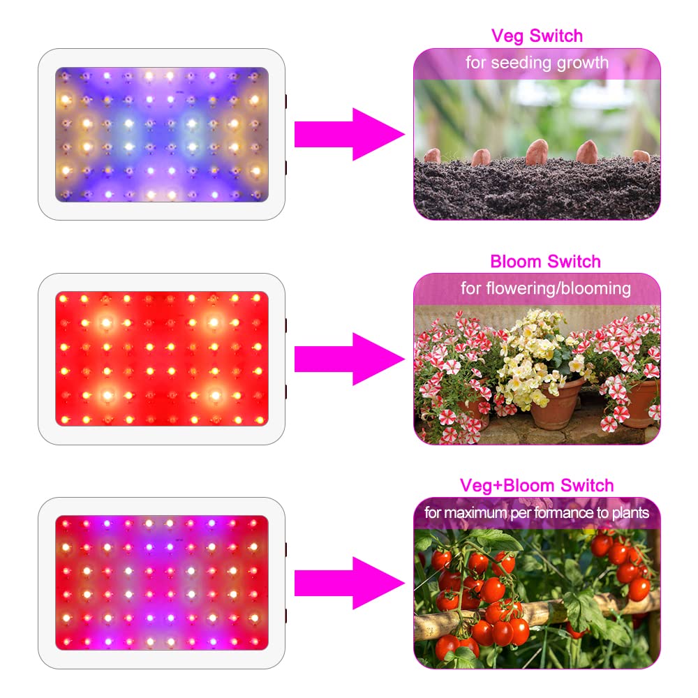 NAILGIRLS daisy chain energy saving design lets you scale coverage