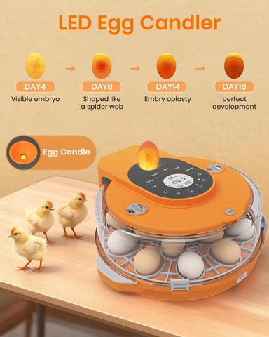 Nailrepro incubator refillable water tray simplifies setup