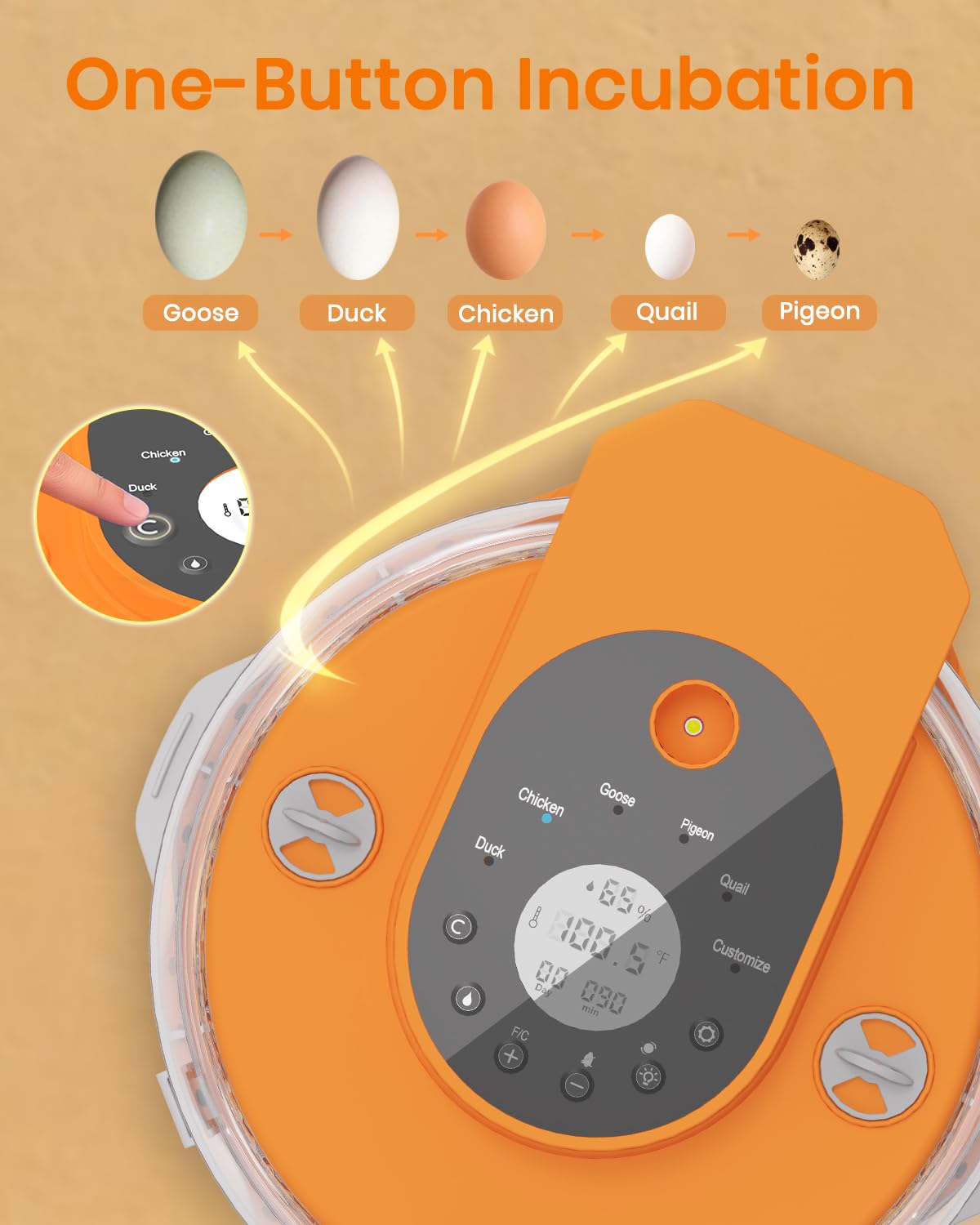 Nailrepro incubator two trays for mixed egg sizes