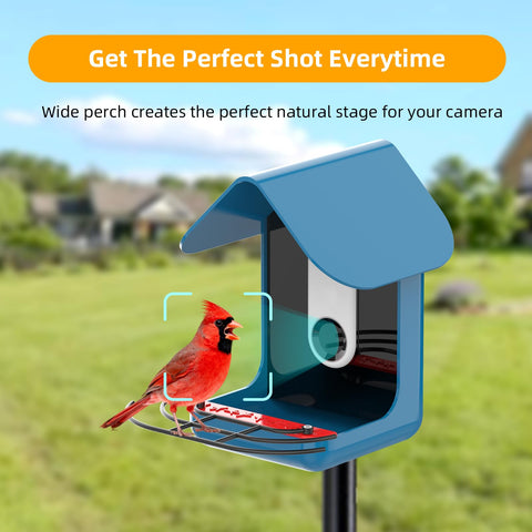 Nakucholy expanded perching space allows multiple birds to land on the extender.