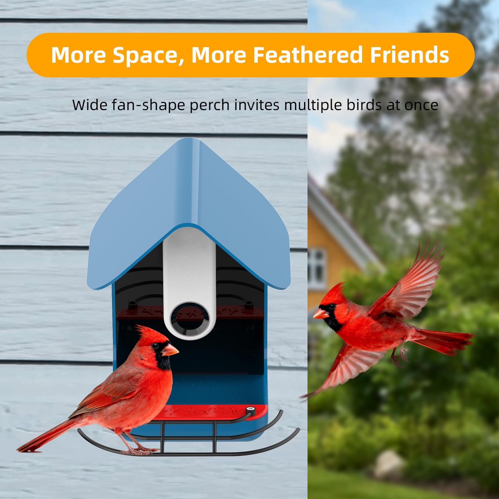 Nakucholy extender enables full-body bird photos from a comfortable distance.