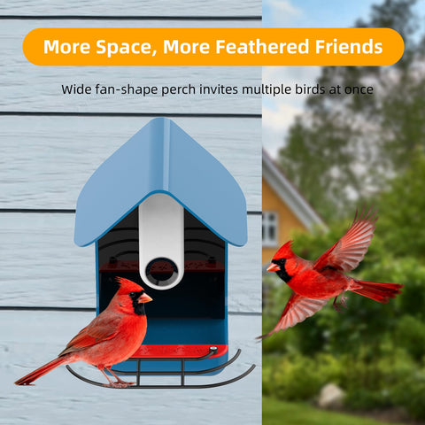 Nakucholy extender enables full-body bird photos from a comfortable distance.