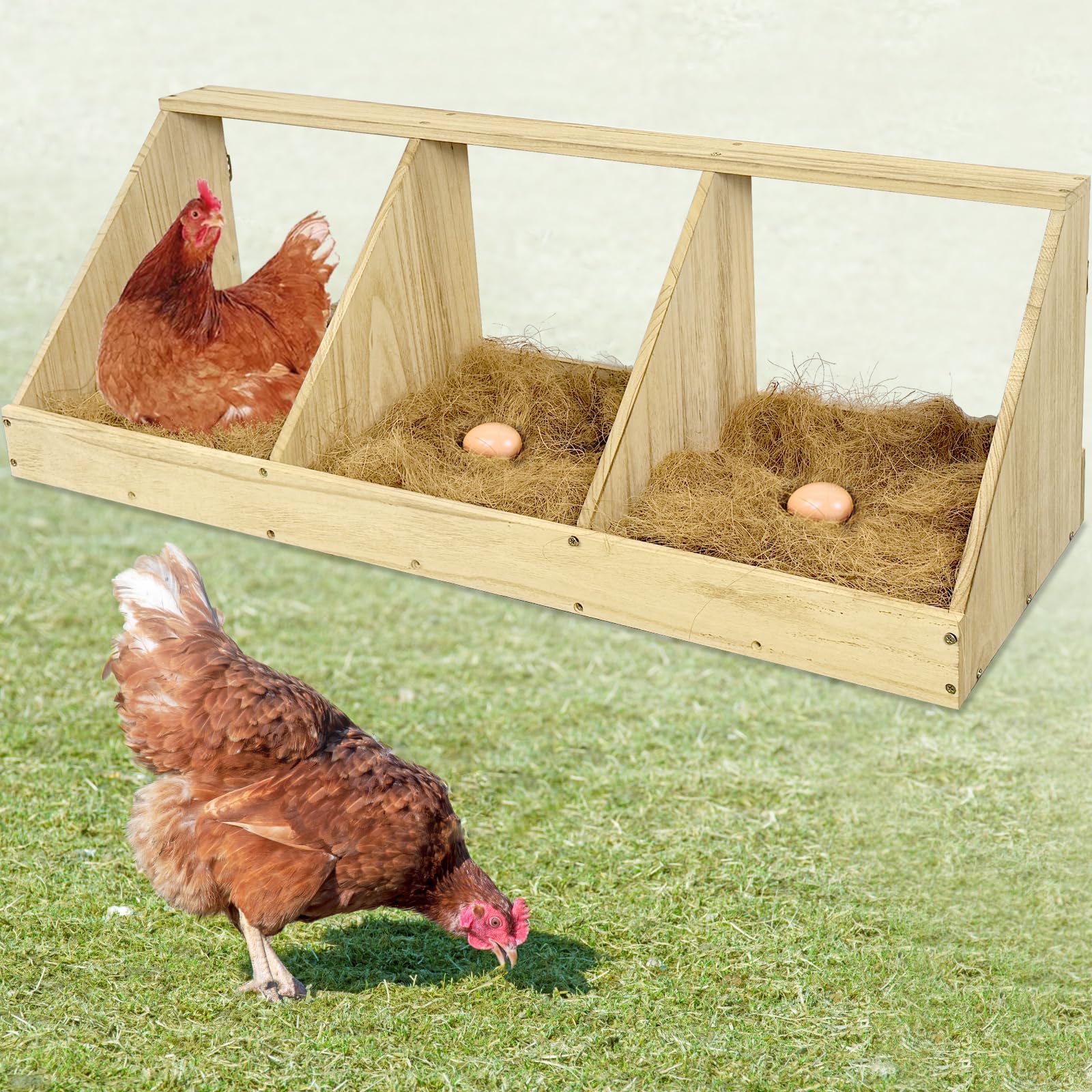 Nalwort chicken nesting box with three compartments guides proper egg laying.