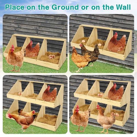 Nalwort ventilation and perches support comfortable egg laying.