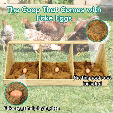 Nalwort nesting box includes 3 fake eggs to guide hens.