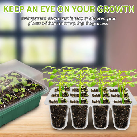NAMOTEK indoor seedling system supports year-round propagation