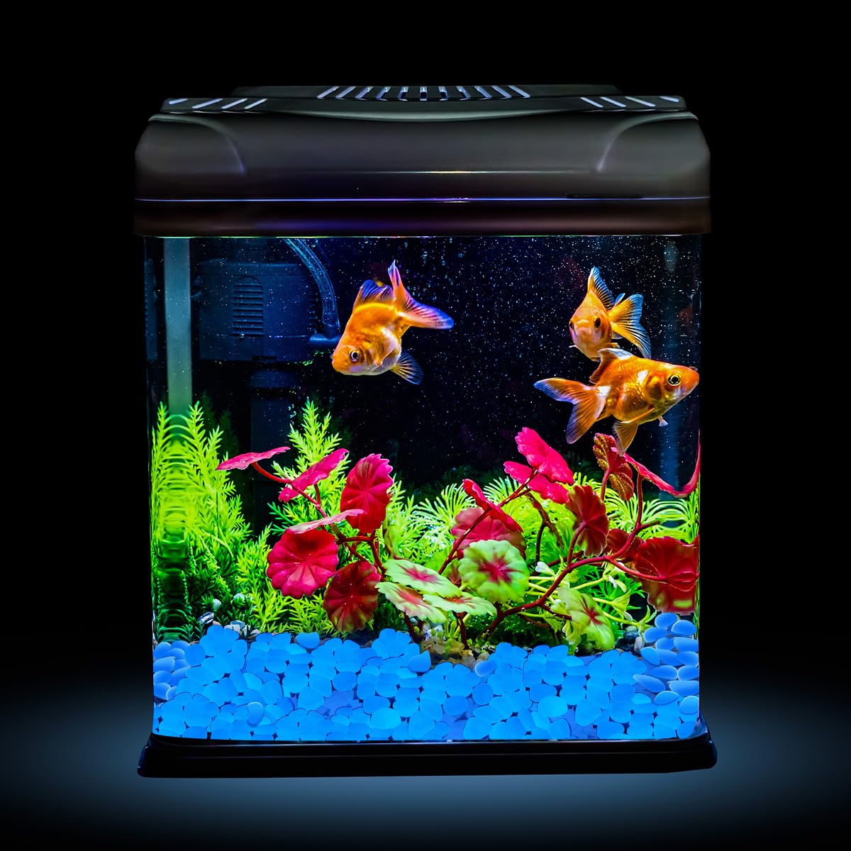 NAMTSO glow stones suit aquariums and vases as subtle decorative accents.