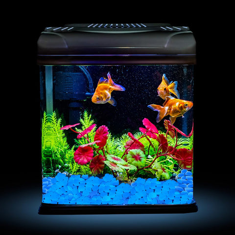 NAMTSO glow stones suit aquariums and vases as subtle decorative accents.