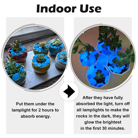 NAMTSO Glow in The Dark Rocks illuminate a garden path with blue glow at night