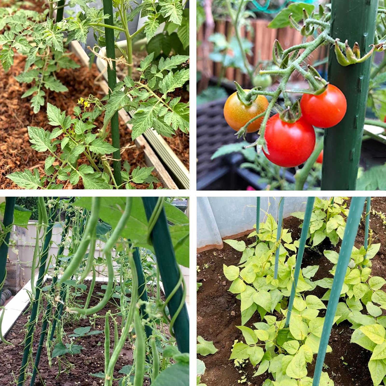 NANOPRETTY plant supports keep cucumbers and tomatoes neat and upright.