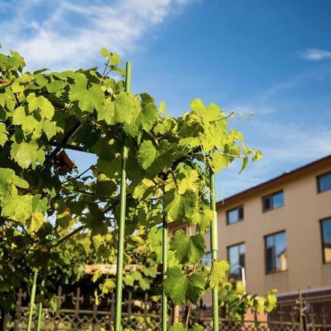 NANOPRETTY durable outdoor garden stake withstands weather for seasonal use.