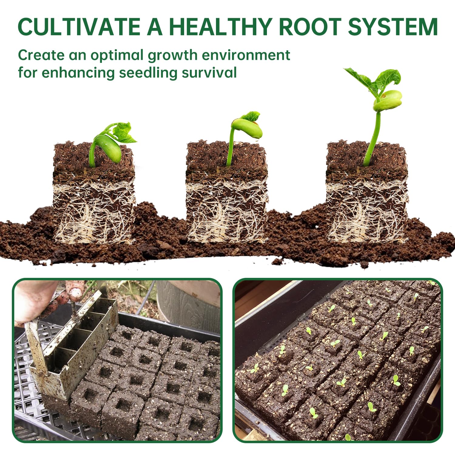 Nanovi pre-formed seed holes streamline seeding in each block.