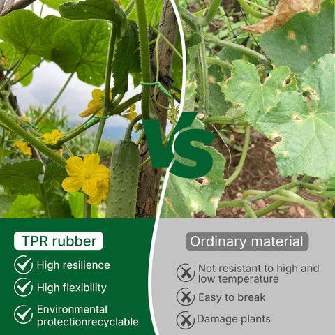 NanWantee tomato stake setup using soft ties for neat, adjustable growth guidance.