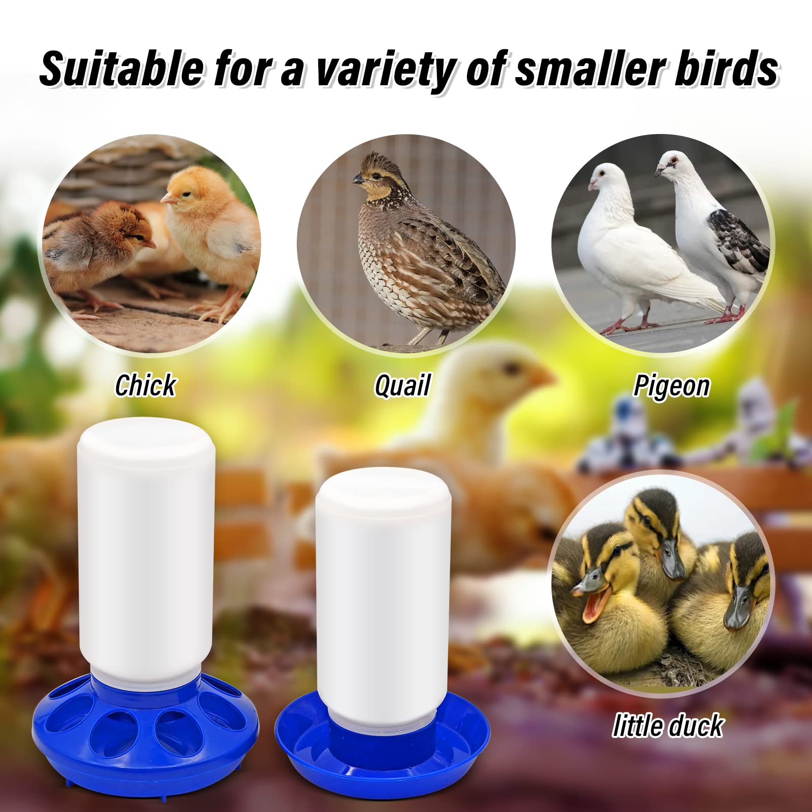 NAOEDEAH in-coop use with chicks showing compact, practical setup.