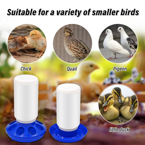 NAOEDEAH in-coop use with chicks showing compact, practical setup.