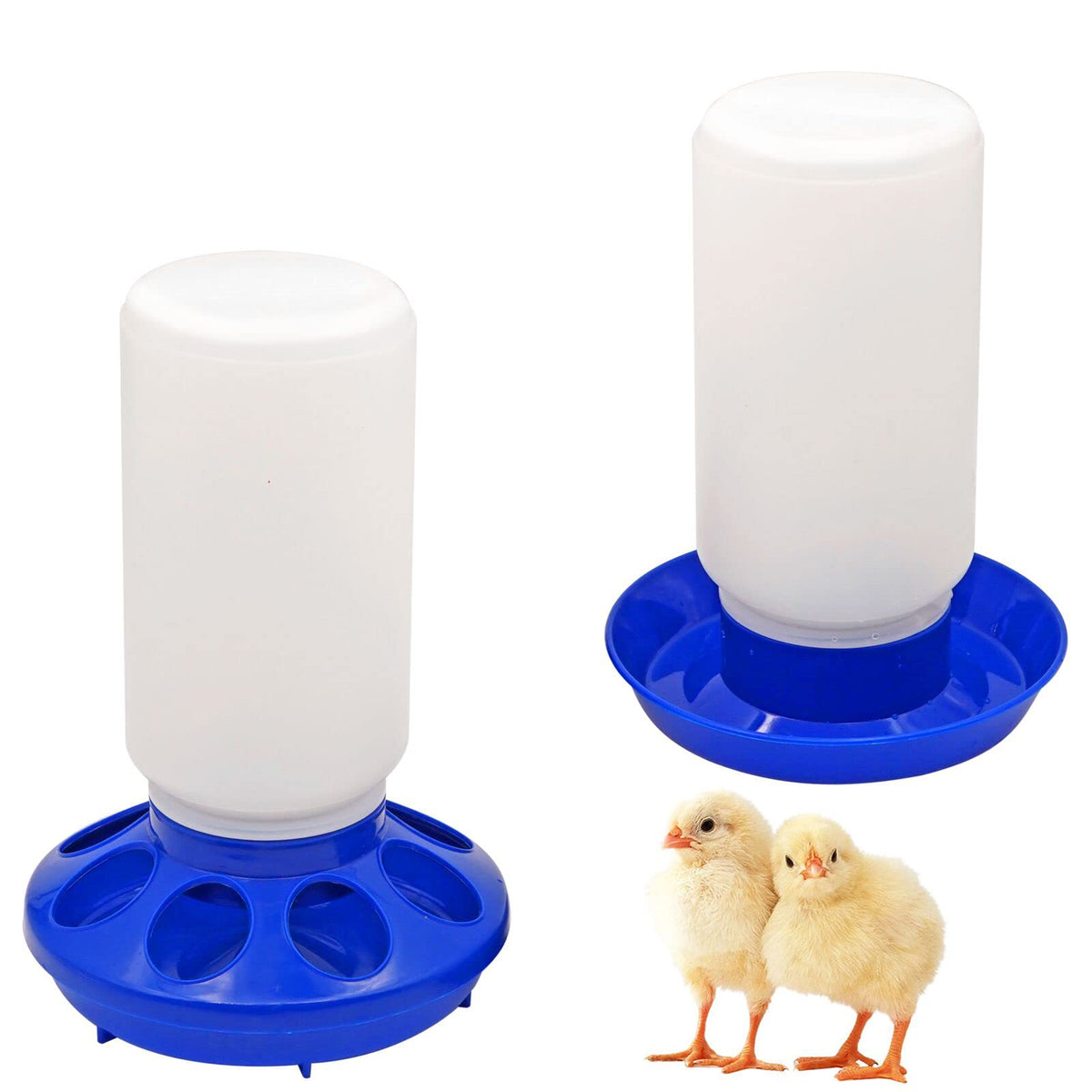 NAOEDEAH waterer close-up showing 1L capacity for reliable chick hydration.