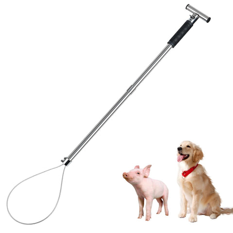 NAOEDEAH dog catcher pole assembled for safe animal handling.