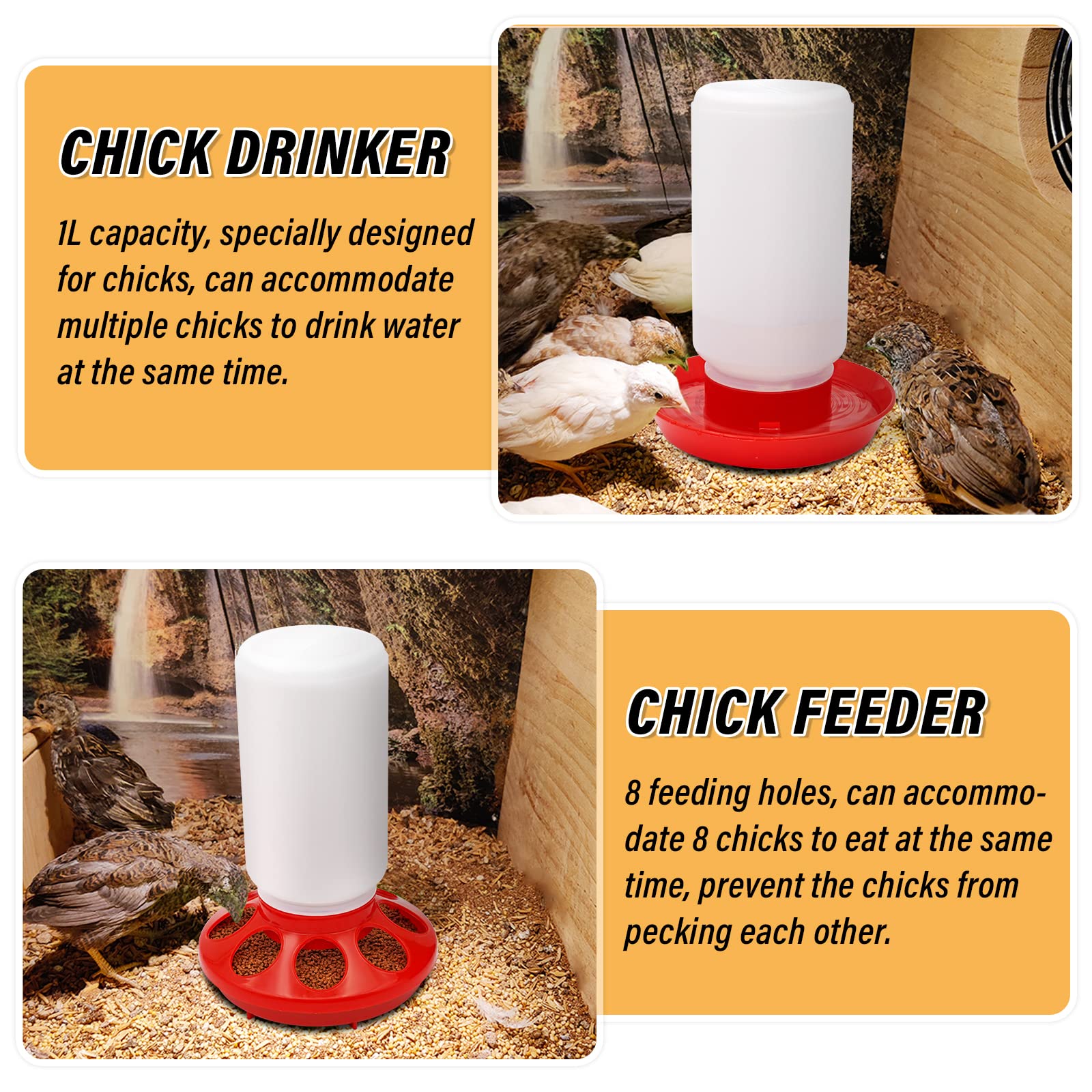 NAOEDEAH poultry coop setup for organized feeding and watering.