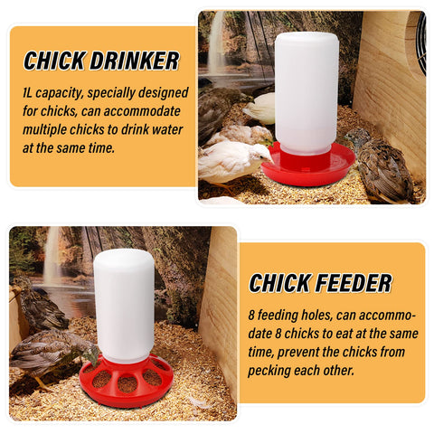 NAOEDEAH poultry coop setup for organized feeding and watering.