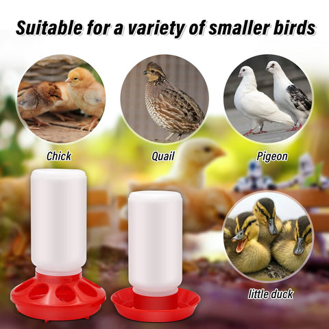 NAOEDEAH quail chick feeder waterer ideal for small birds.