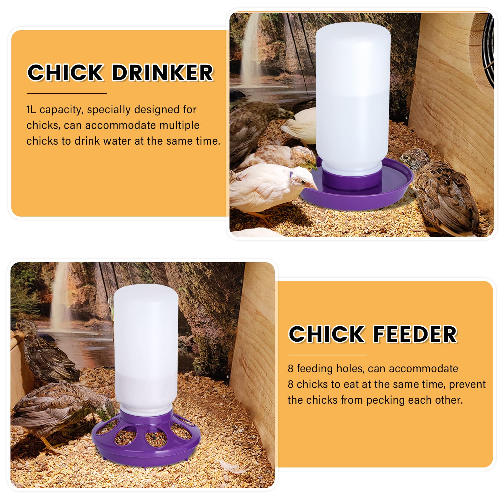 NAOEDEAH waterer and feeder keeping feed dry in a setup
