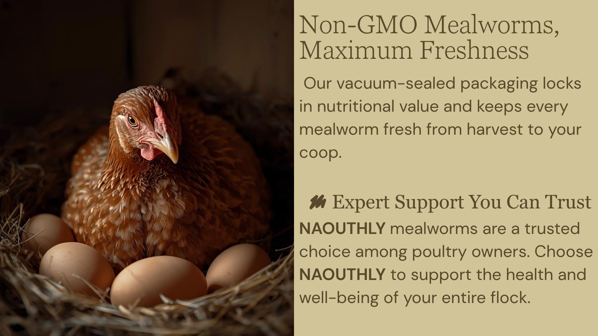 NAOUTHLY mealworms for chicken feed, supporting growth and energy.