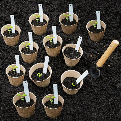 Napia eco-friendly seed starter pots biodegrade naturally after planting.