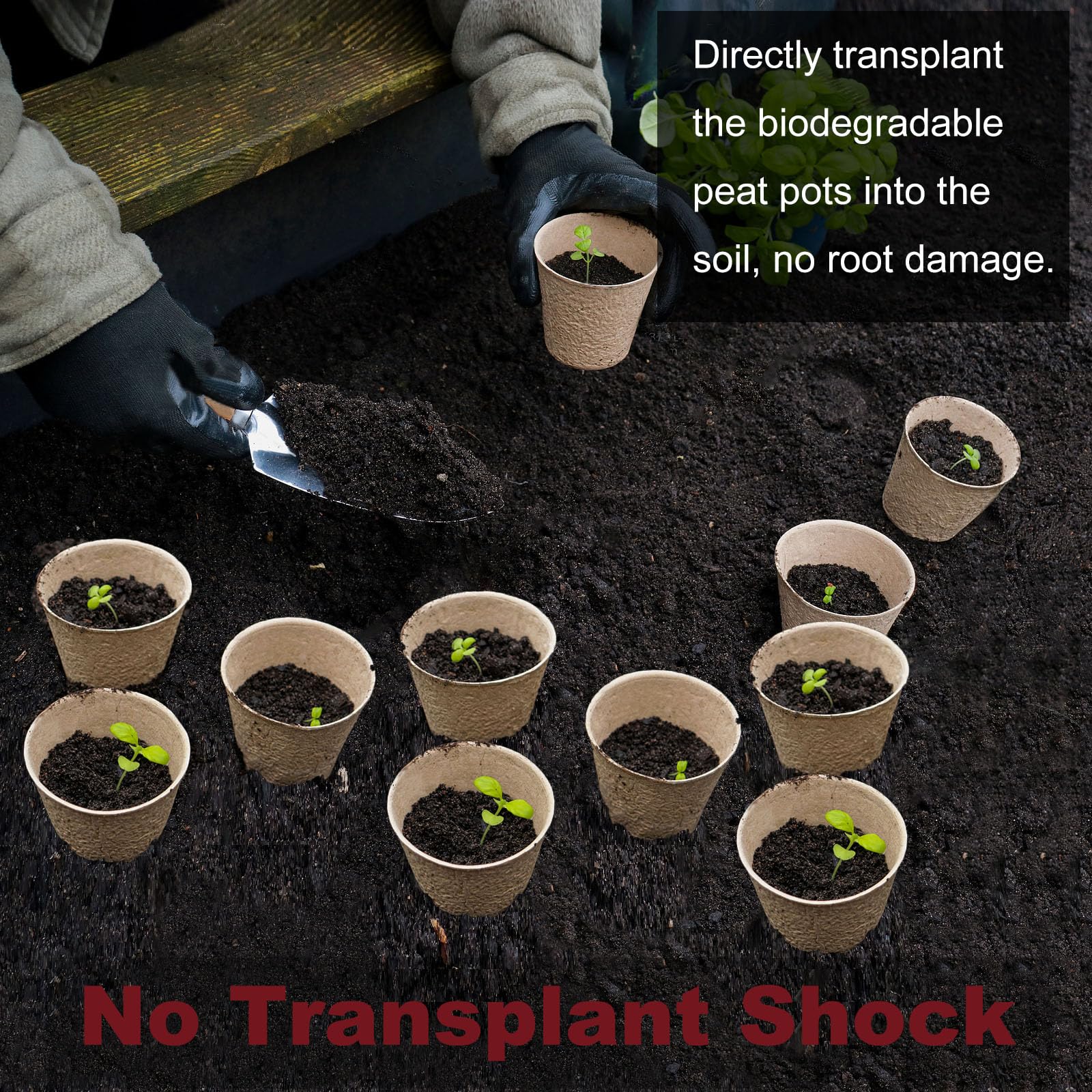 Napia seed starter pots with drainage holes promote airflow and drainage.