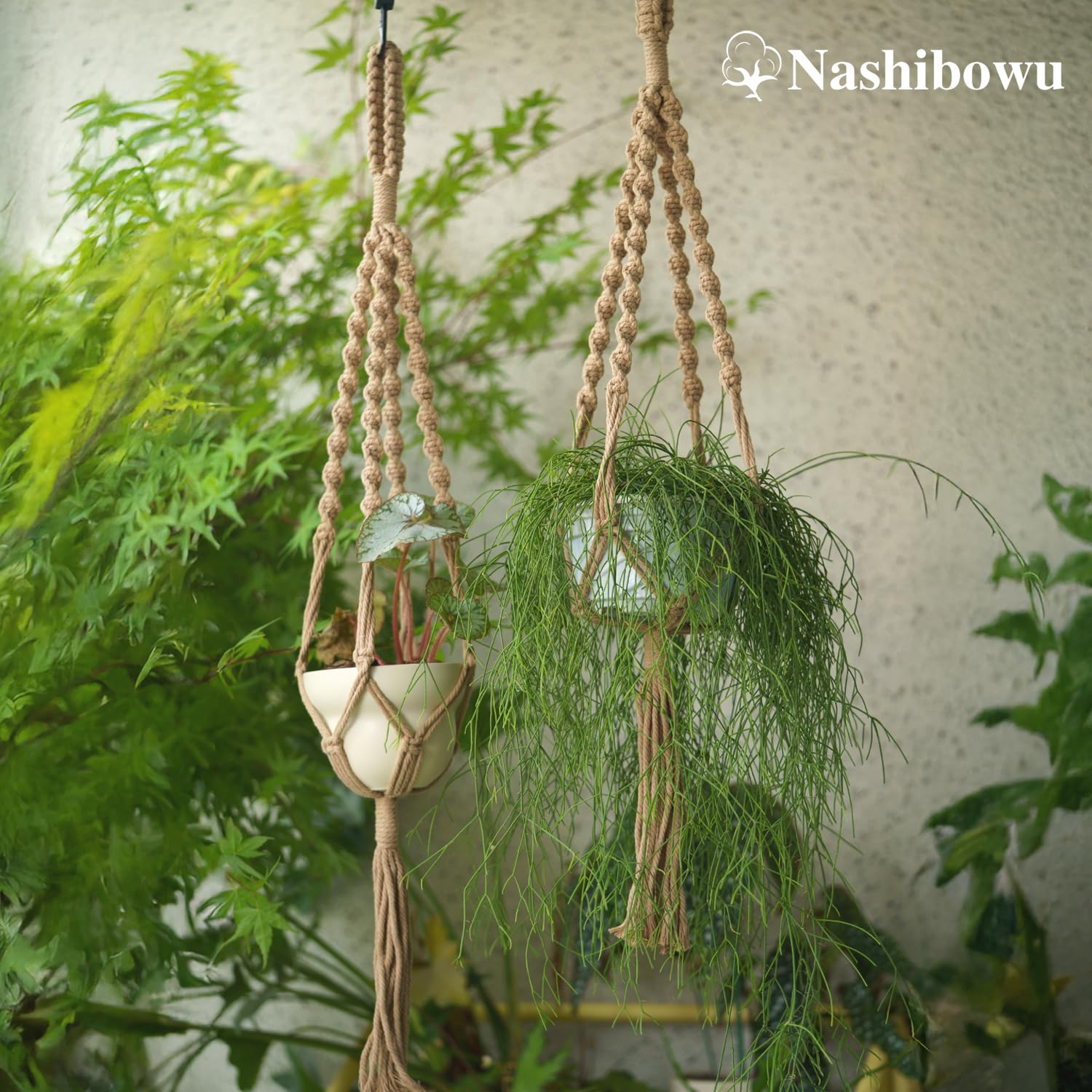 Nashibowu outdoor setup on patio for sun-loving plants.