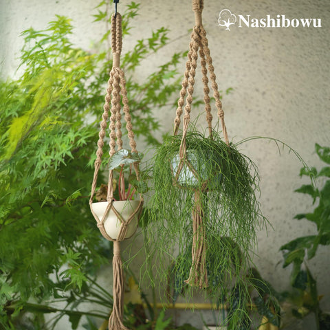 Nashibowu outdoor setup on patio for sun-loving plants.