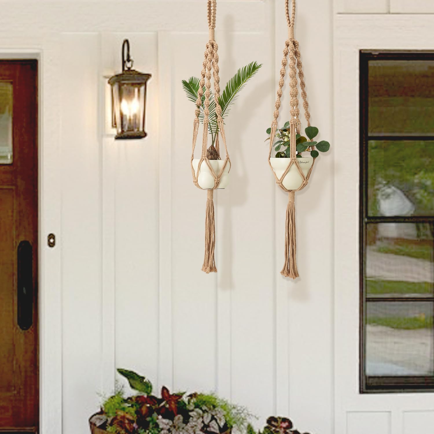 Gift-ready packaging for plant lovers and decor fans.