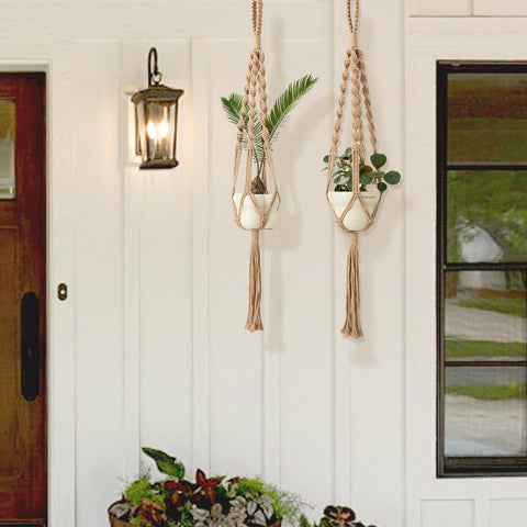 Gift-ready packaging for plant lovers and decor fans.