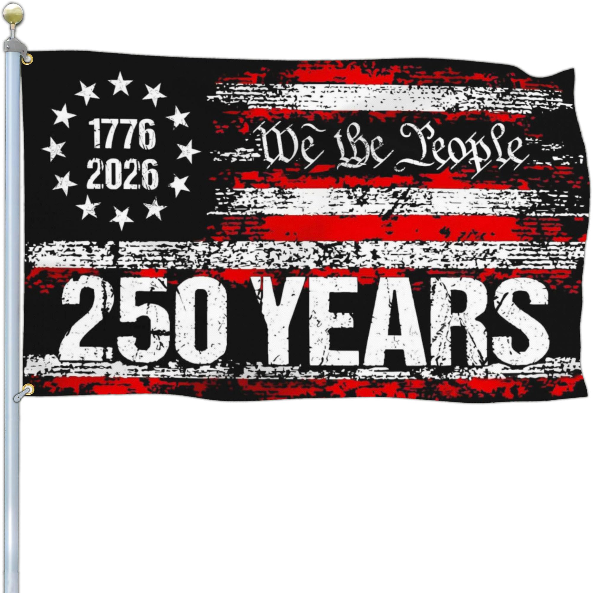 NASIAN 250th anniversary flag front view for outdoor yard display
