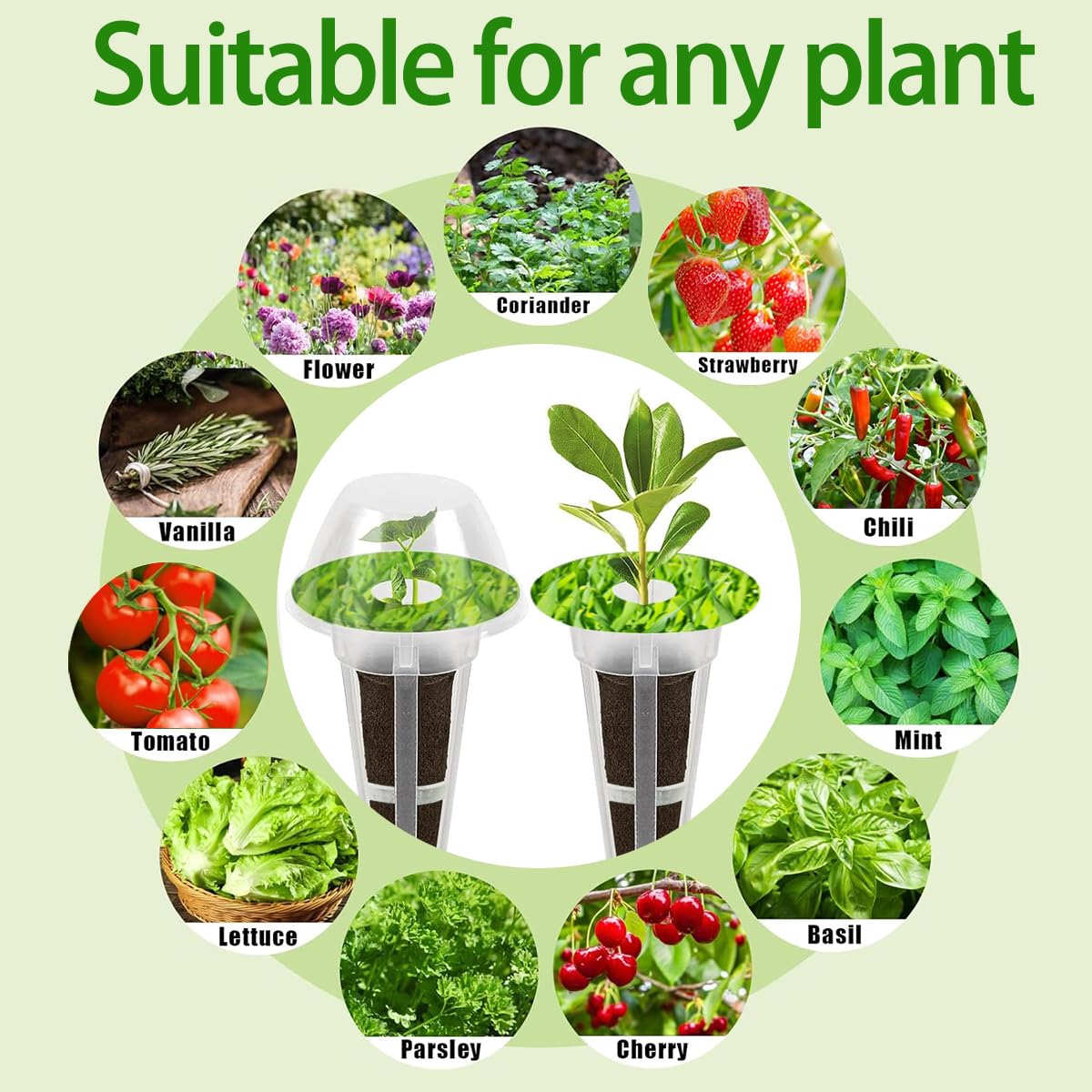 Natalolo sticky pod labels help organize varieties in hydroponic kits