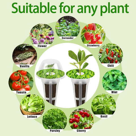 Natalolo sticky pod labels help organize varieties in hydroponic kits