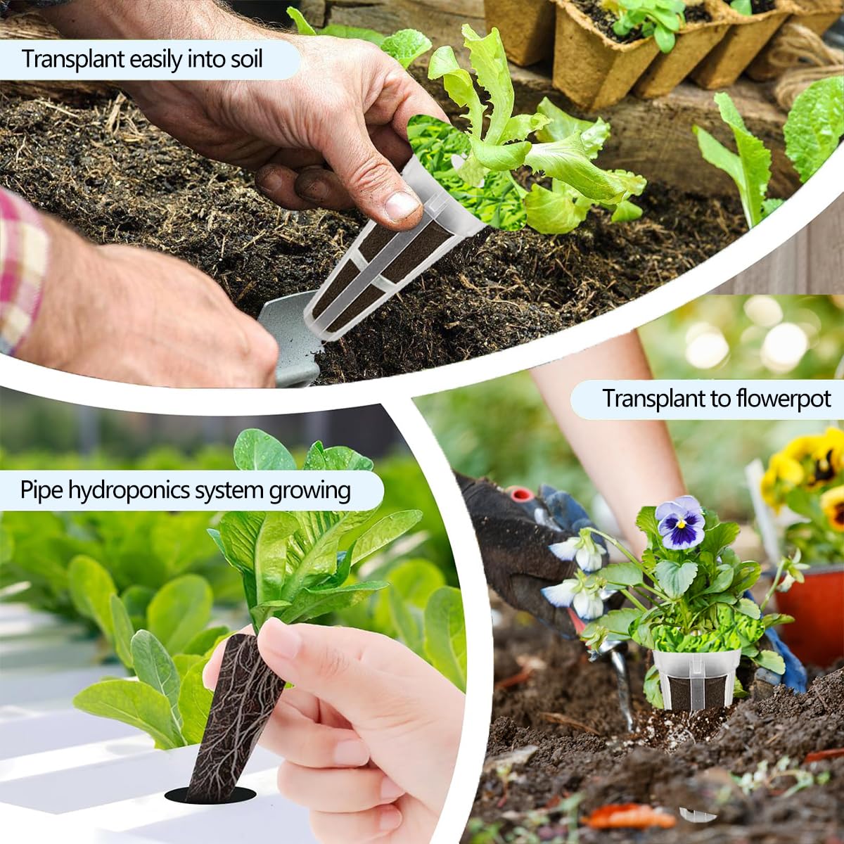 Natalolo tweezer for precise seedling transplanting.