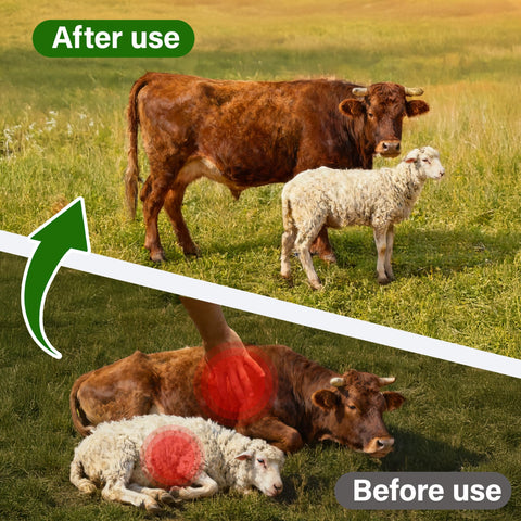 NateNatenight levamisole drench powder shown with goats for routine farm care.