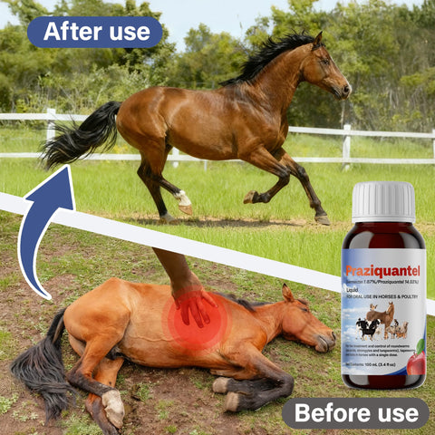 NateNatenight Praziquantel liquid in use, simple dosing for routine care.