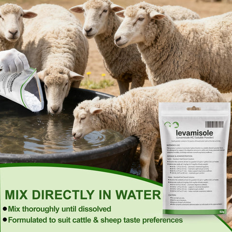 NateNatenight levamisole drench powder enables easy dosing for sheep.