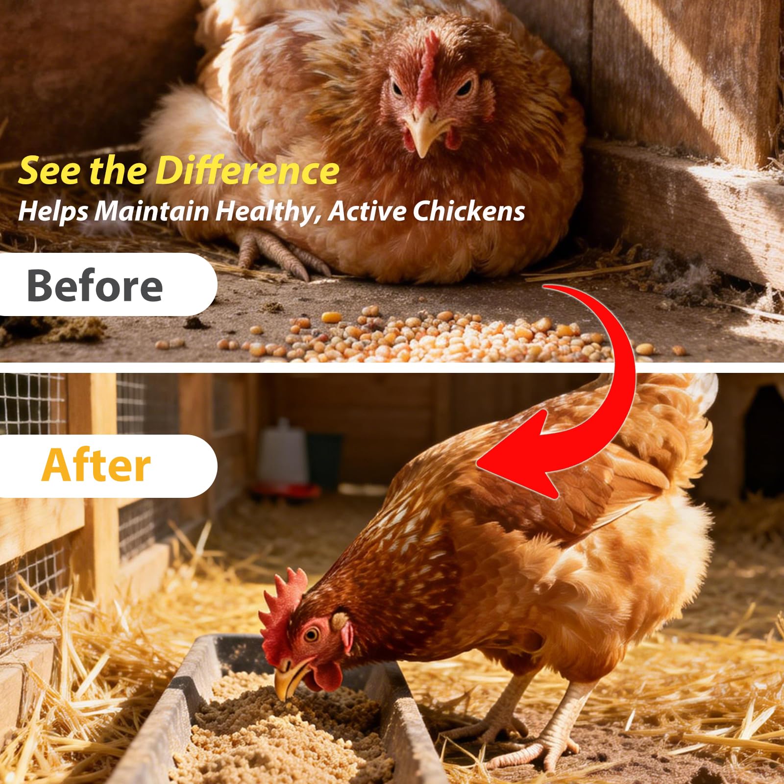 Nathuar dewormer dosing into water for convenient daily care.