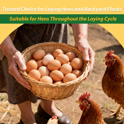 Nathuar dewormer supports laying hens during routine production.
