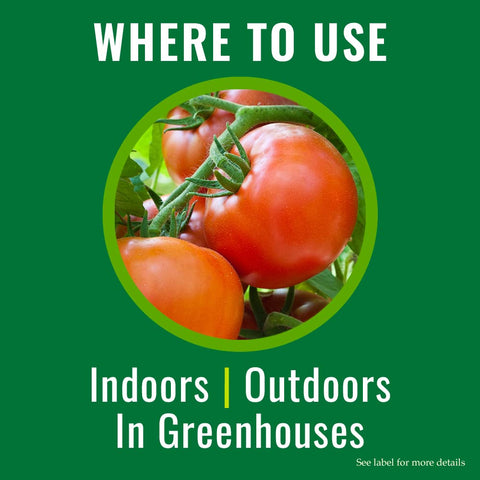 Outdoor garden treatment with Natria insecticidal soap