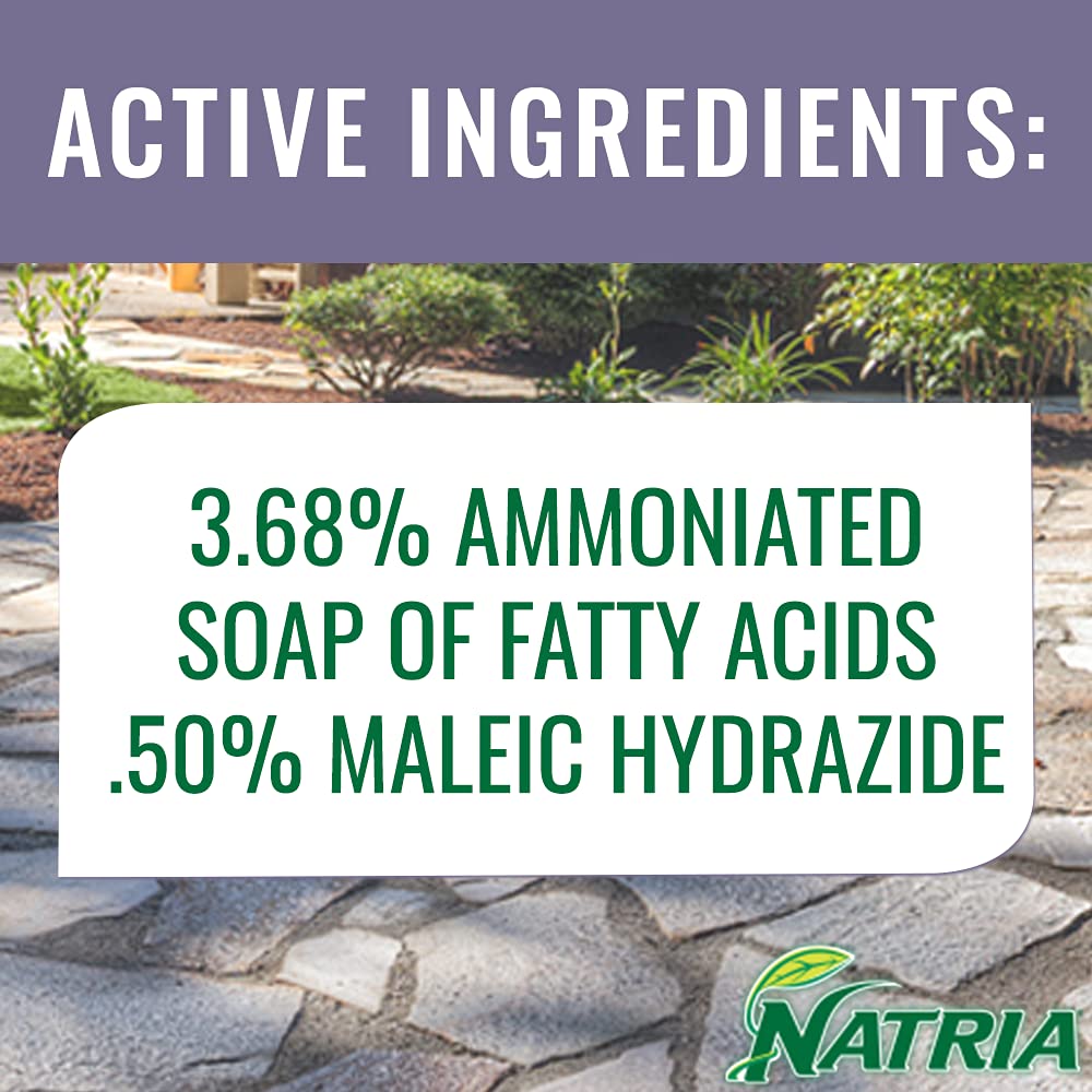 EPA-registered ready-to-use formula with root kill for effective control