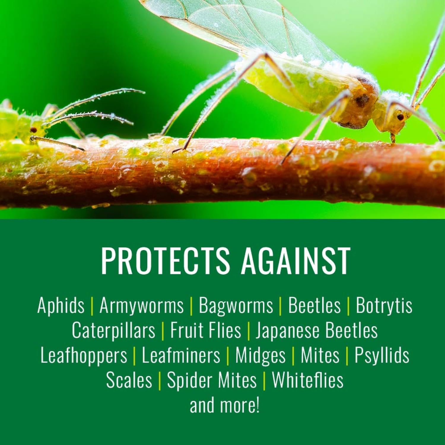 Natria Neem Oil Spray used on indoor plants to deter common pests.