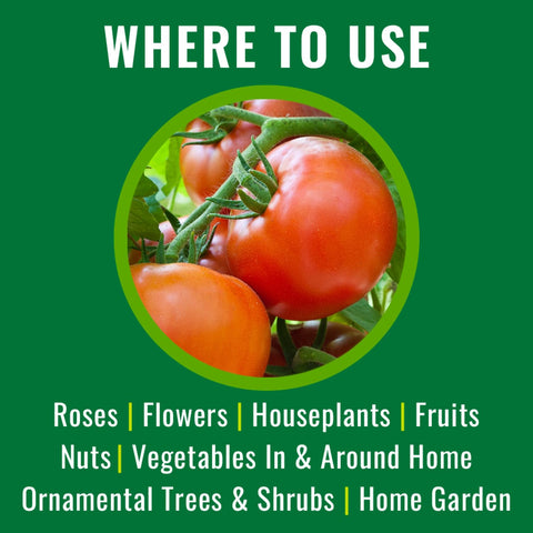 Natria Neem Oil Spray protecting against mildews on leaf surfaces.