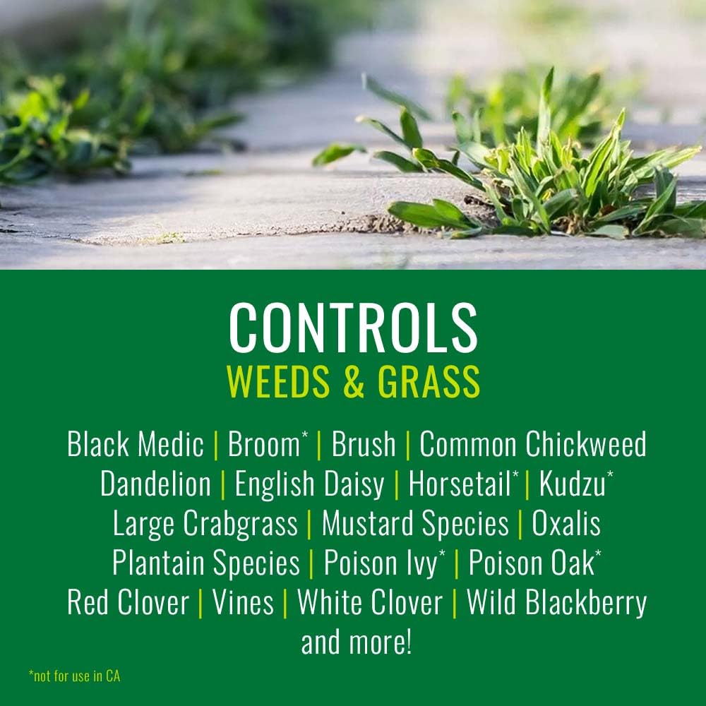 Natria spray application on weeds near a flower bed for targeted control