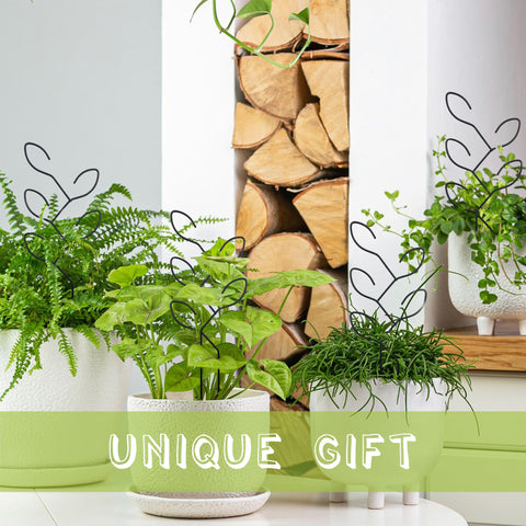 Natrlart durable wire black trellis blends with decor and aids growth.