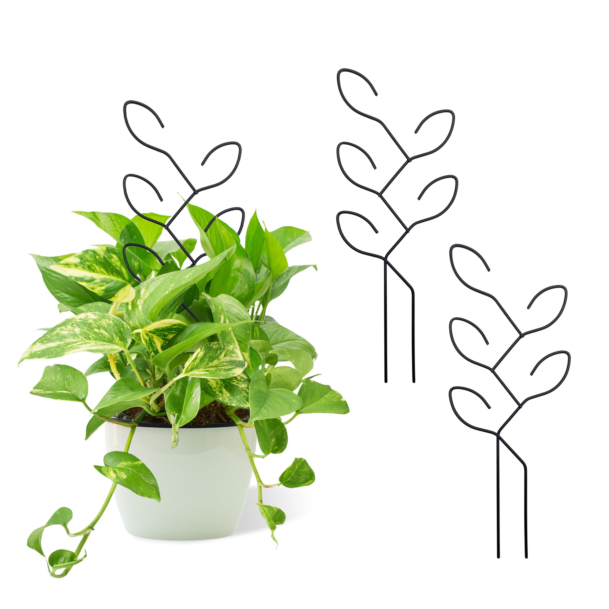 Natrlart leaf-shaped garden trellis two-pcs supports climbing plants gracefully.